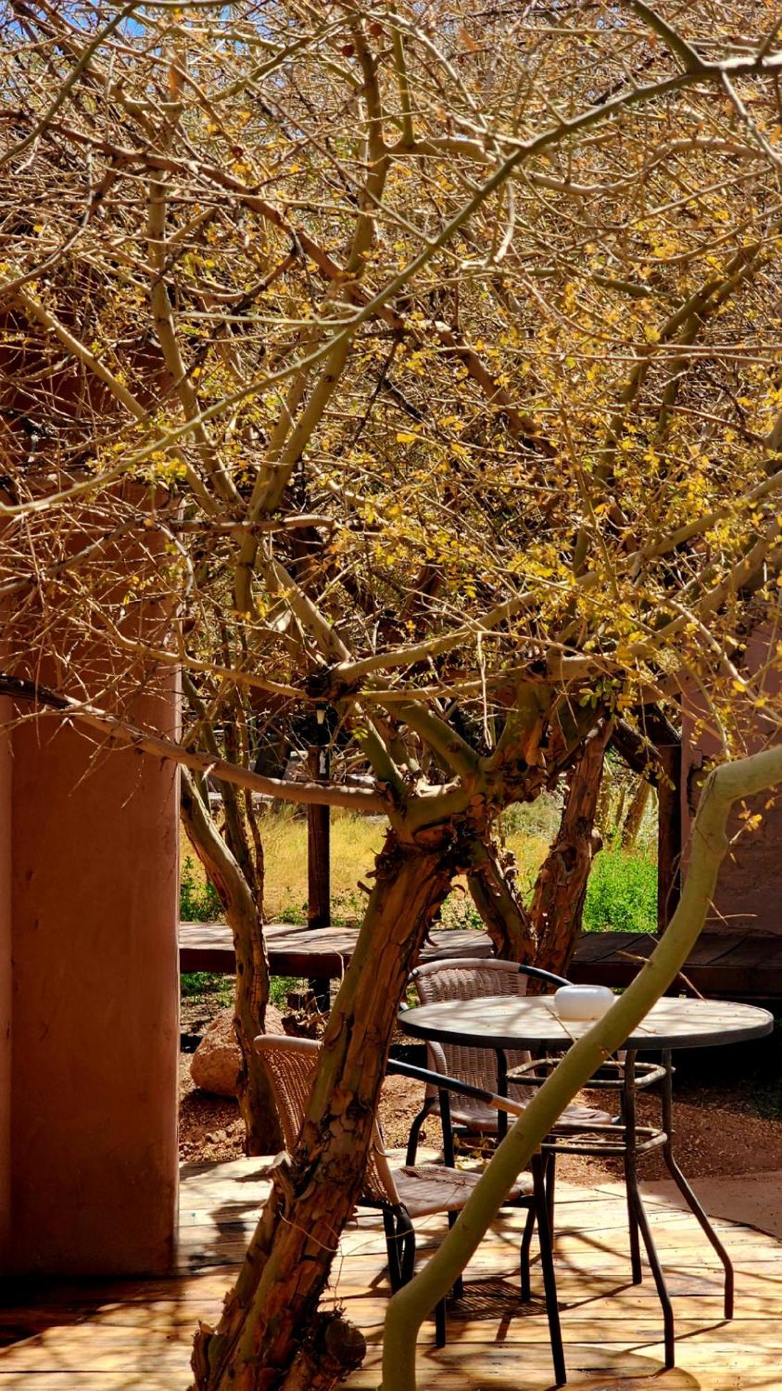 Hotel Tulor San Pedro de Atacama Eksteriør billede